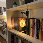 New cross-border Magic Owl Bookend Lamp hanging magic owl bookshelf lamp metal craft