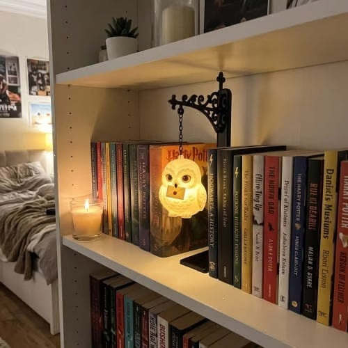 New cross-border Magic Owl Bookend Lamp hanging magic owl bookshelf lamp metal craft